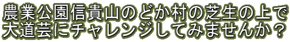 農業公園信貴山のどか村の芝生の上で 大道芸にチャレンジしてみませんか?